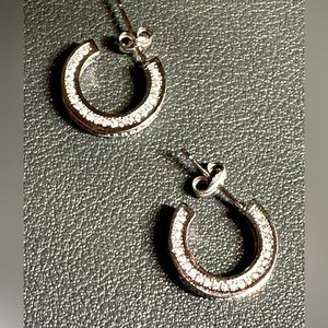 Small ring earrings